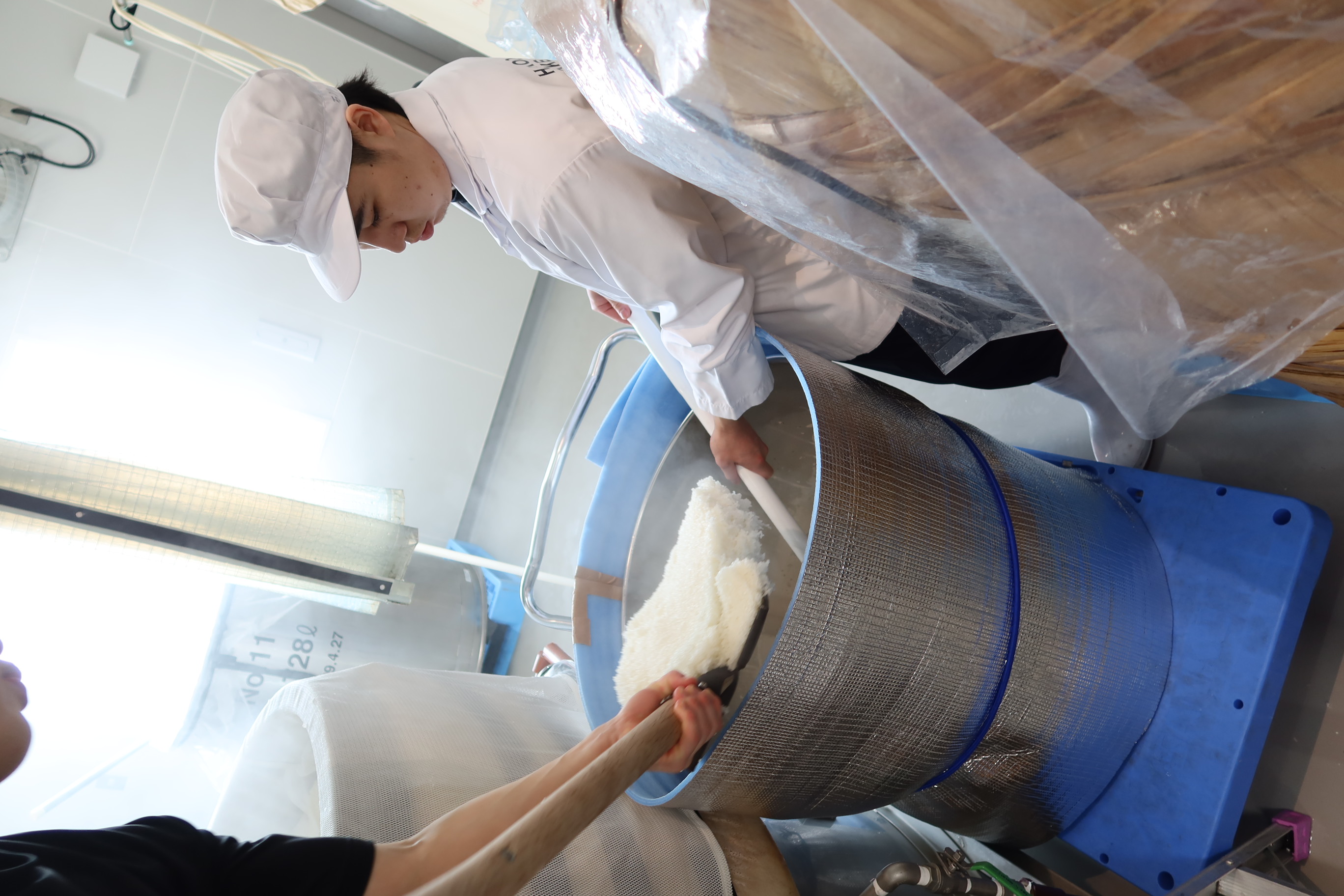 蒸米を扱う作業の様子